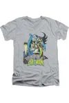 Gildan Dc Comics Batman Heroic Trio Short Sleeve Adult V Neck Premium Cotton Tee / T-shirt In Multi
