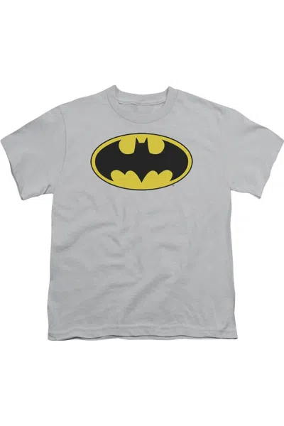 Gildan Kids' Dc Comics Batman Logo Short Sleeve Youth Tee / T-shirt In Gray