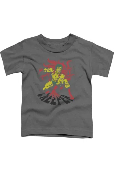 Gildan Kids' Dc Comics Creeper Short Sleeve Toddler Tee / T-shirt In Gray
