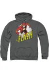 Gildan Dc Comics Flash Run Flash Run Adult Pull Over Hoodie / Hooded Sweatshirt In Pink