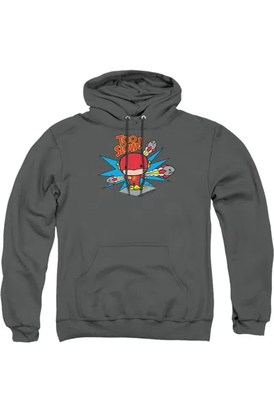 Gildan Dc Comics Flash Too Slow Adult Pull Over Hoodie / Hooded Sweatshirt In Pink