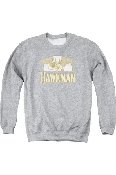 Gildan Dc Comics Fly By Adult Crewneck Sweatshirt In Multi