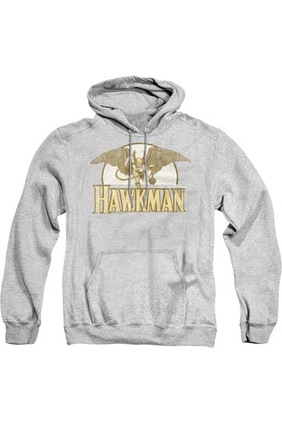 Gildan Dc Comics Fly By Adult Pull Over Hoodie / Hooded Sweatshirt In Multi
