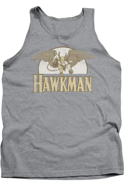 Gildan Dc Comics Fly By Adult Tank Top In Multi