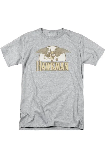 Gildan Dc Comics Fly By Short Sleeve Adult Tee / T-shirt In Multi