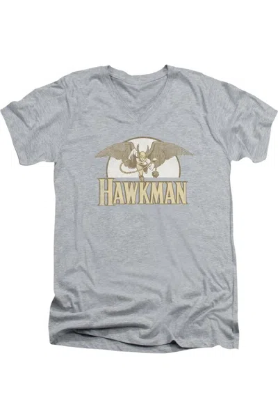 Gildan Dc Comics Fly By Short Sleeve Adult V Neck Tee / T-shirt In Multi