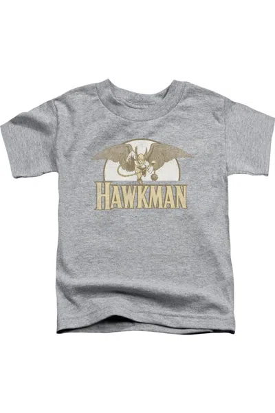 Gildan Kids' Dc Comics Fly By Short Sleeve Youth Tee / T-shirt In Gray