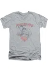 Gildan Dc Comics Fooled You Short Sleeve Adult V Neck Premium Cotton Tee / T-shirt In Multi