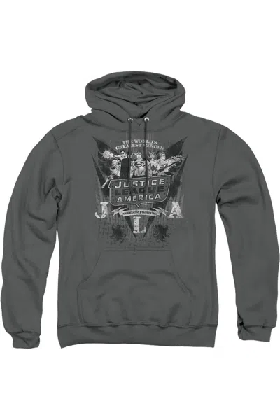 Gildan Dc Comics Greatest Heroes Adult Pull Over Hoodie / Hooded Sweatshirt In Gray