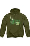 Gildan Dc Comics Green Arrow Green Arrow Adult Pull Over Hoodie / Hooded Sweatshirt In Green