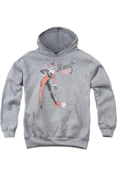Gildan Kids' Dc Comics Harley Hammer Youth Pull Over Hoodie / Hooded Sweatshirt In Gray