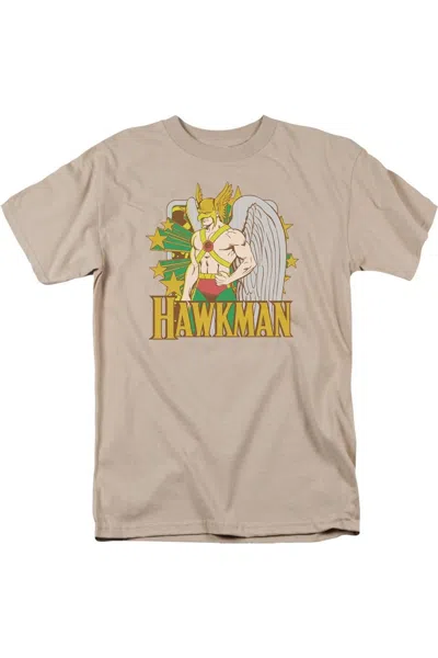 Gildan Dc Comics Hawkman Stars Short Sleeve Adult Tee / T-shirt In Brown