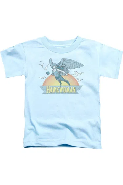 Gildan Kids' Dc Comics Hawkwoman Short Sleeve Toddler Tee / T-shirt In Blue