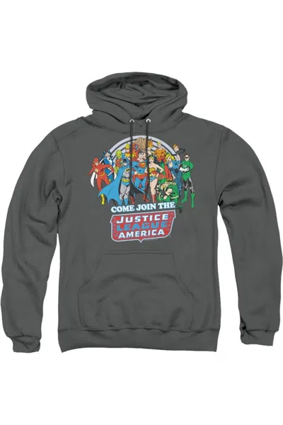 Gildan Dc Comics Join The Justice League Adult Pull Over Hoodie / Hooded Sweatshirt In Pink