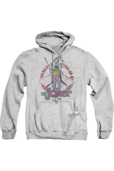 Gildan Dc Comics Maniacal Adult Pull Over Hoodie / Hooded Sweatshirt In Multi