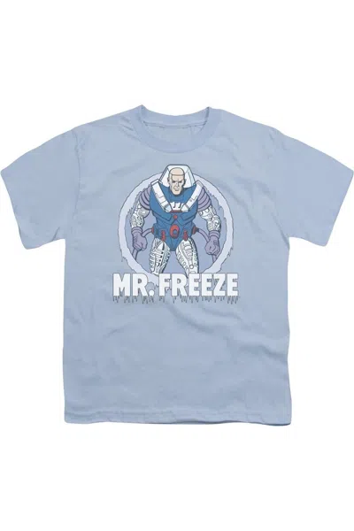 Gildan Kids' Dc Comics Mr Freeze Short Sleeve Youth Tee / T-shirt In Blue
