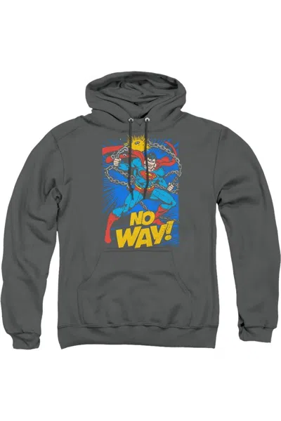 Gildan Dc Comics No Way Adult Pull Over Hoodie / Hooded Sweatshirt In Pink
