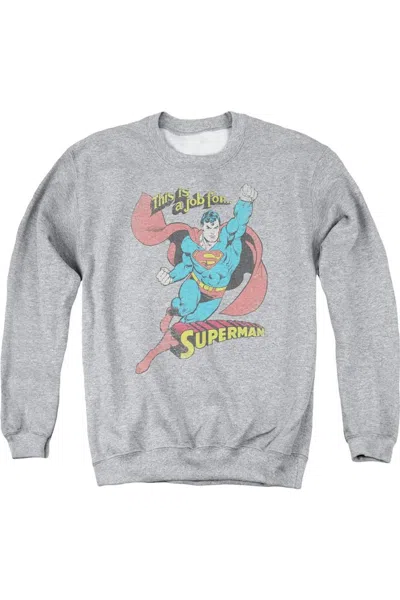 Gildan Dc Comics On The Job Adult Crewneck Sweatshirt In Multi