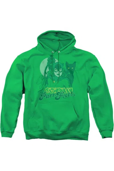 Gildan Dc Comics Perrfect! Adult Pull Over Hoodie / Hooded Sweatshirt In Green