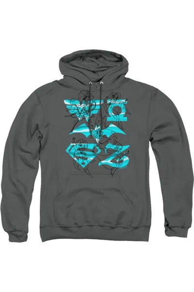 Gildan Dc Comics Superhero Girls Line Art Group Adult Pull Over Hoodie / Hooded Sweatshirt In Pink