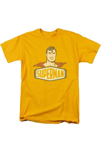 Gildan Dc Comics Superman Sign Short Sleeve Adult Tee / T-shirt In Multi