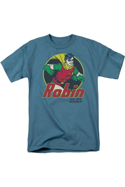 Gildan Dc Comics The Boy Wonder Woman Short Sleeve Adult Tee / T-shirt In Multi