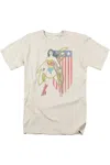 Gildan Dc Comics Usa Banner Short Sleeve Adult Tee / T-shirt In White