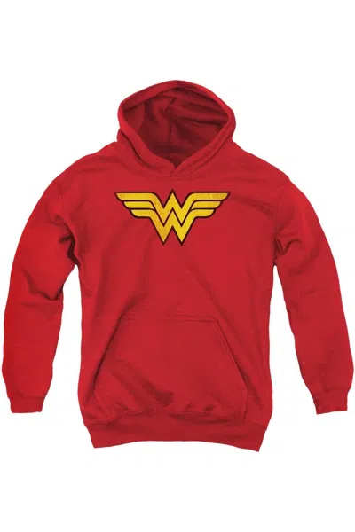 Gildan Kids' Dc Comics Wonder Woman Logo Youth Pull Over Hoodie / Hooded Sweatshirt In Multi