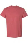 Gildan Softstyle T-shirt In Multi