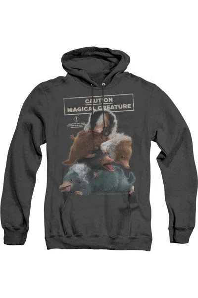 Gildan Fantastic Beasts 2 Cuddle Puddle Adult Heather Hoodie / Hooded Sweatshirt In Black