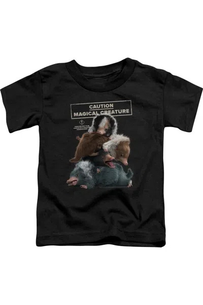 Gildan Kids' Fantastic Beasts 2 Cuddle Puddle Short Sleeve Juvenile Tee / T-shirt In Black