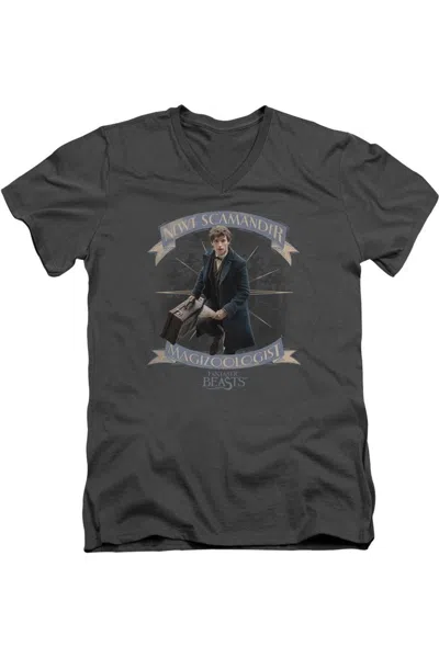 Gildan Fantastic Beasts Newt Scamander Short Sleeve Adult V Neck Premium Cotton Tee / T-shirt In Pink