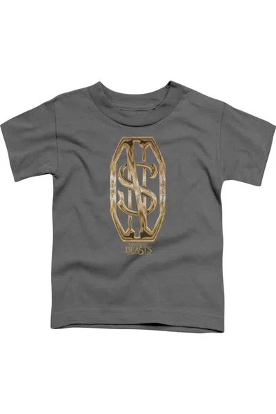 Gildan Kids' Fantastic Beasts Scamander Monogram Short Sleeve Juvenile Tee / T-shirt In Gray