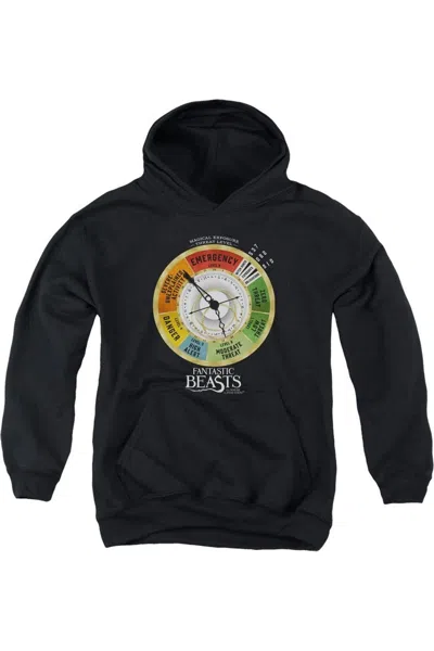 Gildan Kids' Fantastic Beasts Threat Gauge Youth Pull Over Hoodie / Hooded Sweatshirt In Black