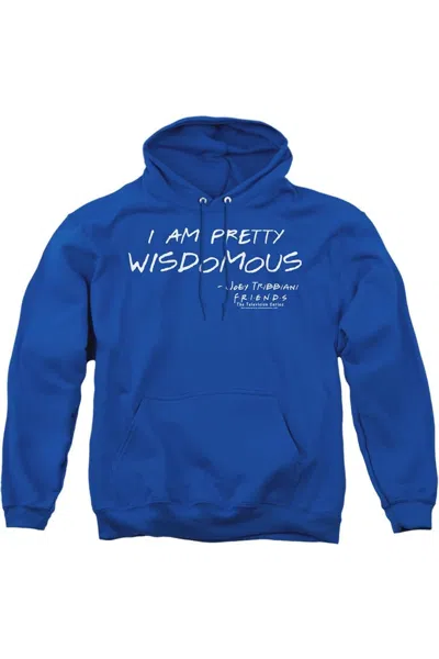 Gildan Friends Wisdomous Adult Pull Over Hoodie / Hooded Sweatshirt In Blue