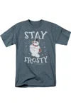 Gildan Frosty The Snowman Stay Frosty Short Sleeve Adult Tee / T-shirt In Grey