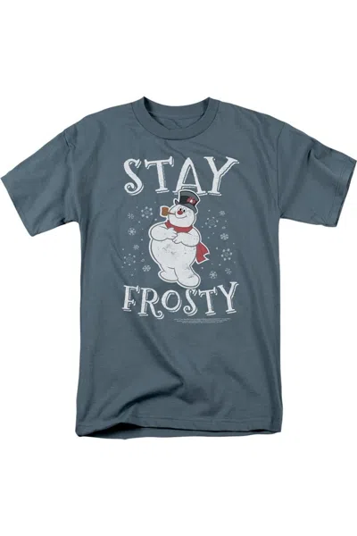Gildan Frosty The Snowman Stay Frosty Short Sleeve Adult Tee / T-shirt In Grey