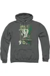 Gildan Green Lantern Core Strength Adult Pull Over Hoodie / Hooded Sweatshirt In Pink