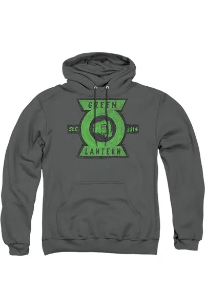 Gildan Green Lantern Section Adult Pull Over Hoodie / Hooded Sweatshirt In Pink