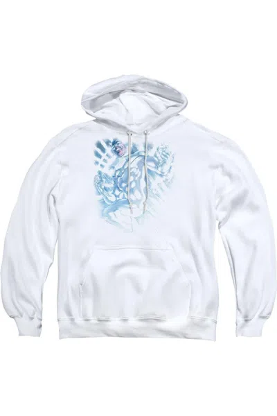 Gildan Green Lantern White Lantern Sinestro Adult Pull Over Hoodie / Hooded Sweatshirt