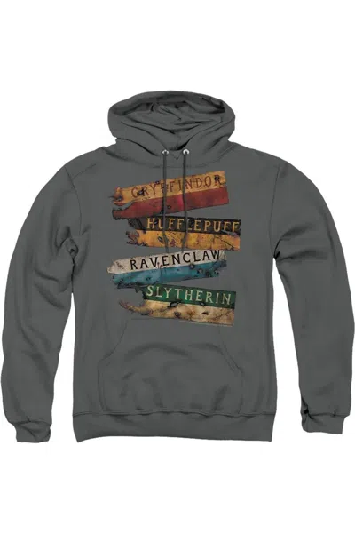 Gildan Harry Potter Burnt Banners Adult Pull Over Hoodie / Hooded Sweatshirt In Pink