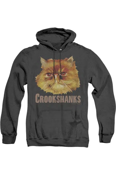 Gildan Harry Potter Crookshanks Color Adult Heather Hoodie / Hooded Sweatshirt In Black