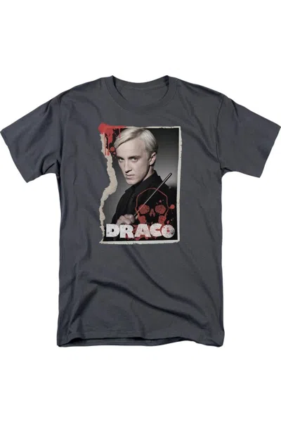 Gildan Harry Potter Draco Frame Short Sleeve Adult Tee / T-shirt In Gray