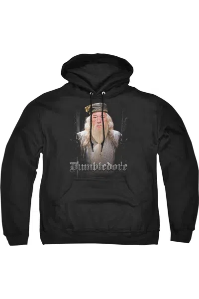 Gildan Harry Potter Dumble Doors Adult Pull Over Hoodie / Hooded Sweatshirt In Black
