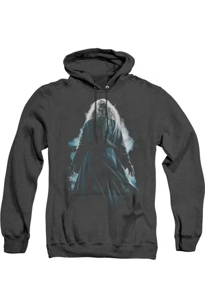 Gildan Harry Potter Dumbledore Burst Adult Heather Hoodie / Hooded Sweatshirt In Black