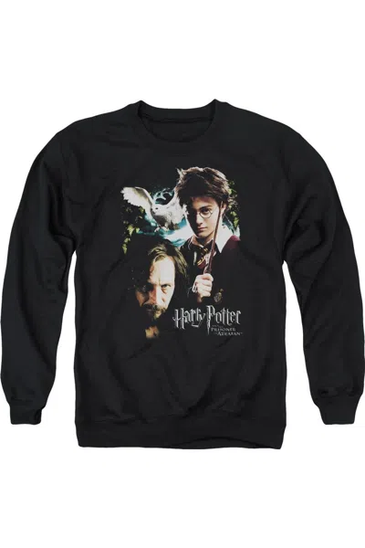 Gildan Harry Potter Harry And Sirius Adult Crewneck Sweatshirt In Black