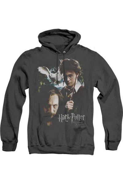 Gildan Harry Potter Harry And Sirius Adult Heather Hoodie / Hooded Sweatshirt In Black