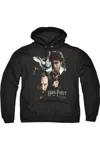 Gildan Harry Potter Harry And Sirius Adult Pull Over Hoodie / Hooded Sweatshirt In Black