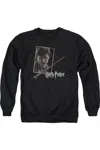 Gildan Harry Potter Harrys Wand Portrait Adult Crewneck Sweatshirt In Black