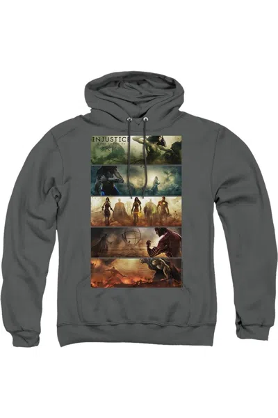 Gildan Injustice Gods Among Us Panels Adult Pull Over Hoodie / Hooded Sweatshirt In Pink
